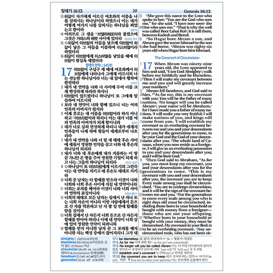 [성서원]NIV큰글자한영해설성경 특대 단본 개역개정 색인 무지퍼 PU 브라운