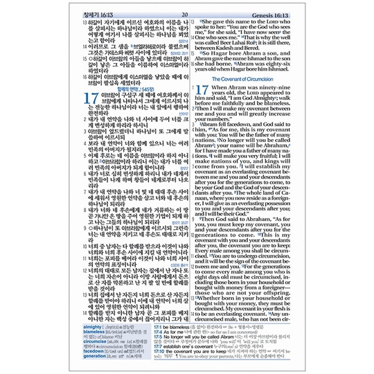 [성서원]NIV큰글자한영해설성경 특대 합본 개역개정 한영새찬송가 색인 지퍼 PU 네이비