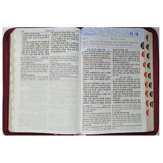 [예장출판사]로고스알찬성경 대 합본 개역개정 새찬송가 색인 지퍼 자주